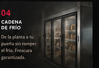 04 Cadena de frío — De la planta a tu puerta sin romper el frío. Frescura garantizada.